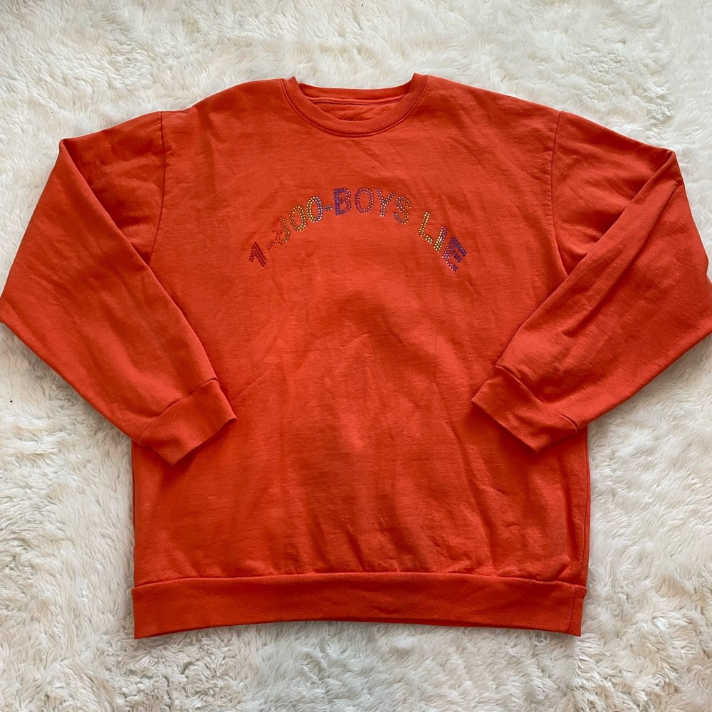 1-800 Boys Lie Sweatshirt